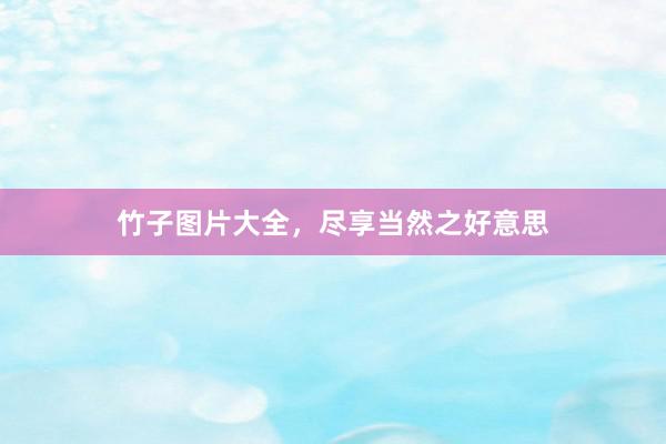 竹子图片大全，尽享当然之好意思